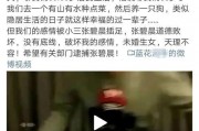 娱乐吃瓜博主看谁,看谁成为下一个吃瓜焦点